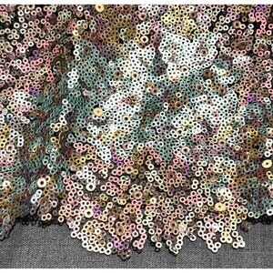 Pastel Iridescent Sequin Fabric with Decorative Edge on Black Mesh Backing